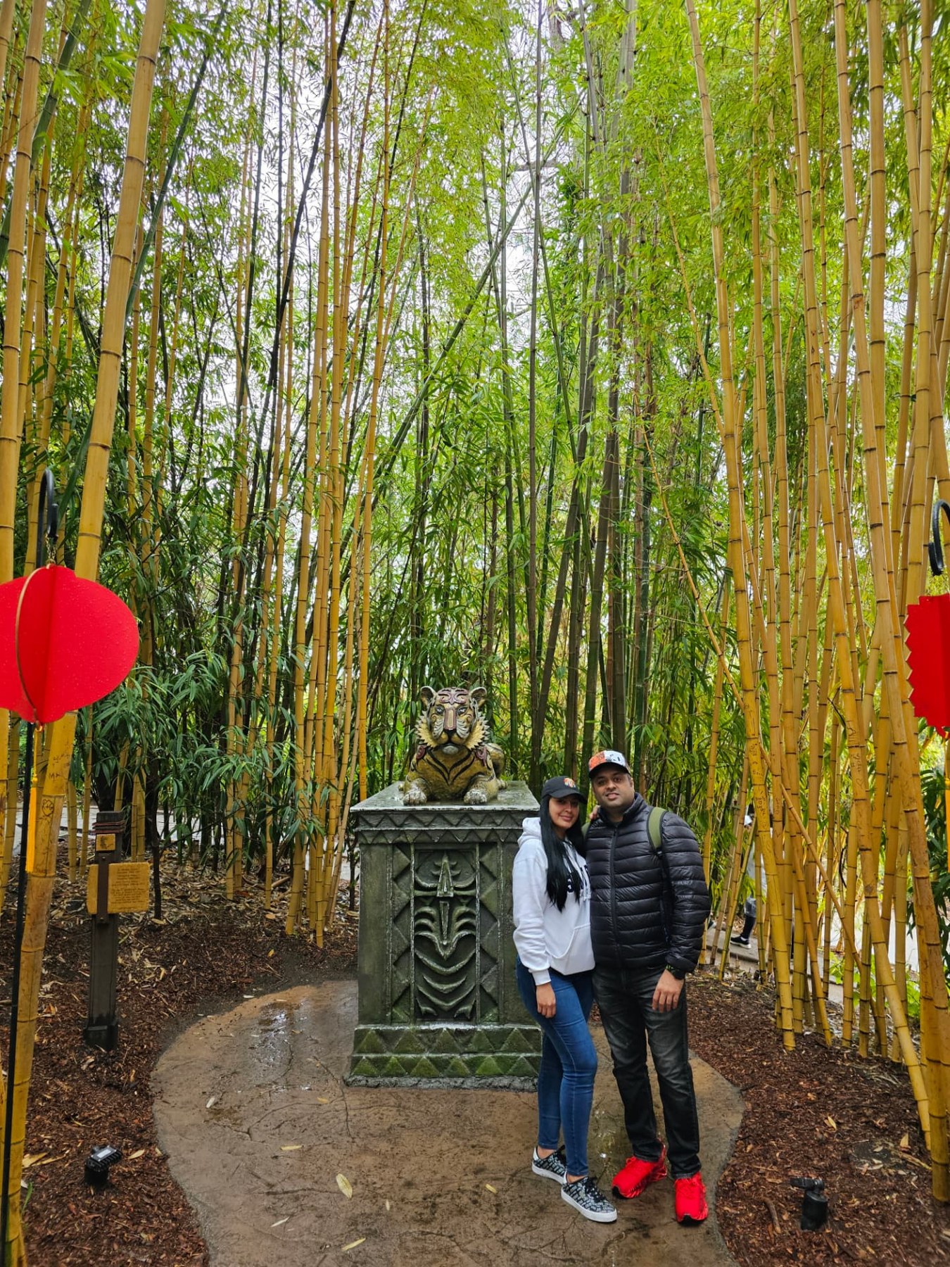 Margarita and Samir among tall bamboo at the zoo